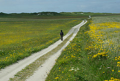 Photo by bexross, flickr.com