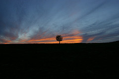 sunset_adam_baker_flickr.jpg