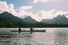 Kayaking in Queensland