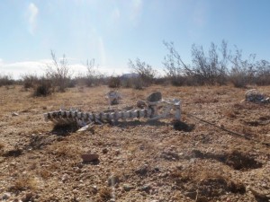 Photo by Zach Reeder, used with permission