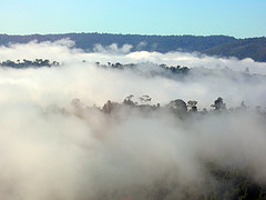 Amazonia