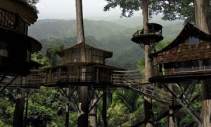 Finca Bellavista, from Google Images
