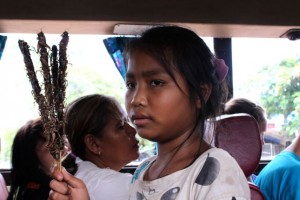 Bus to pakse